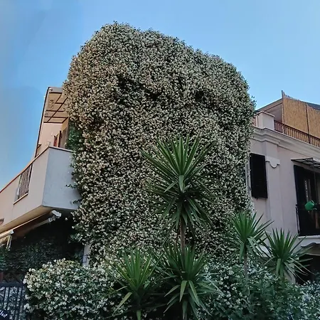 B&B San Francesco Pescara Centro-2